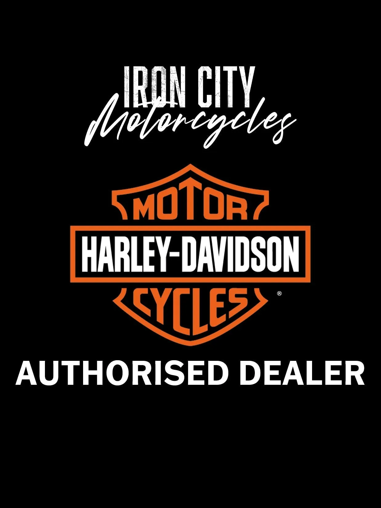 Harley Davidson 14100748 Classic H-D Fender Skirt Medallions KIT-MEDALLION,H-D ROAD KING